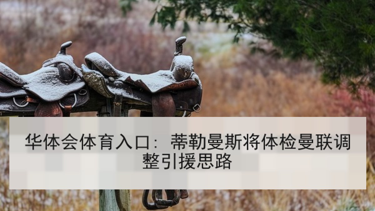 华体会体育入口: 蒂勒曼斯将体检曼联调整引援思路 华体会体育入口: 蒂勒曼斯将体检曼联调整引援思路