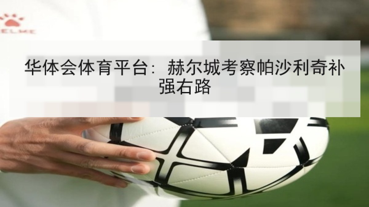 华体会体育平台: 赫尔城考察帕沙利奇补强右路